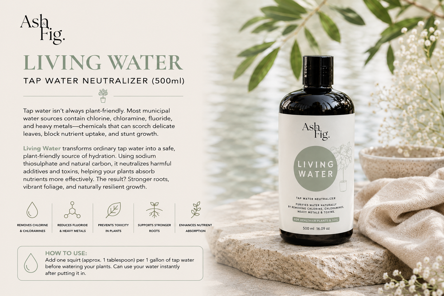Living Water