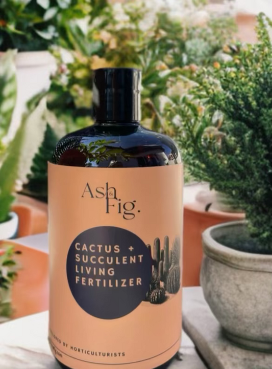 Cactus Living Fertilizer