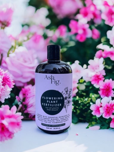 Flowering Plant Living Fertilizer