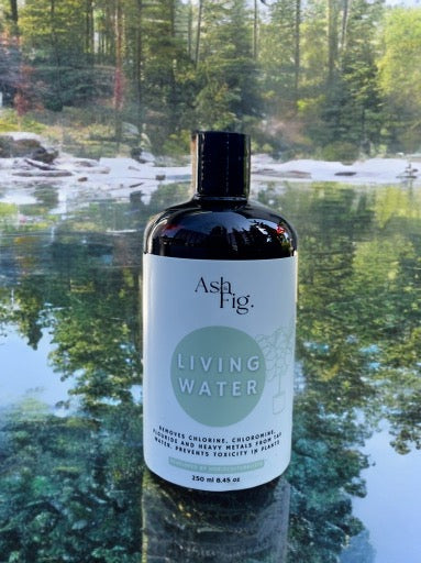 Living Water